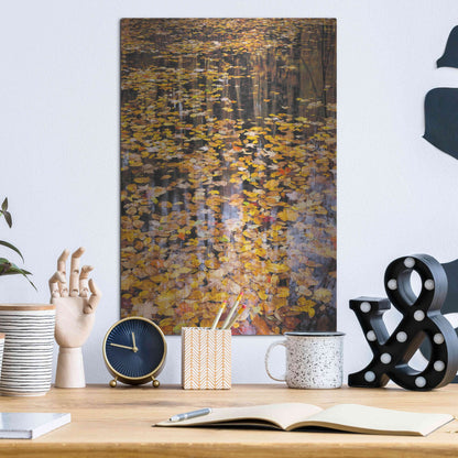 Luxe Metal Art 'Autumn Detail' by John Gavrilis, Metal Wall Art,12x16