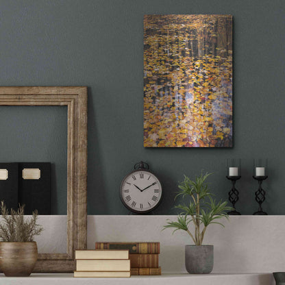 Luxe Metal Art 'Autumn Detail' by John Gavrilis, Metal Wall Art,12x16