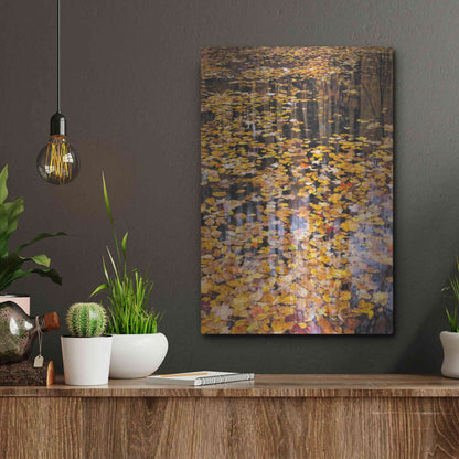 Luxe Metal Art 'Autumn Detail' by John Gavrilis, Metal Wall Art,12x16