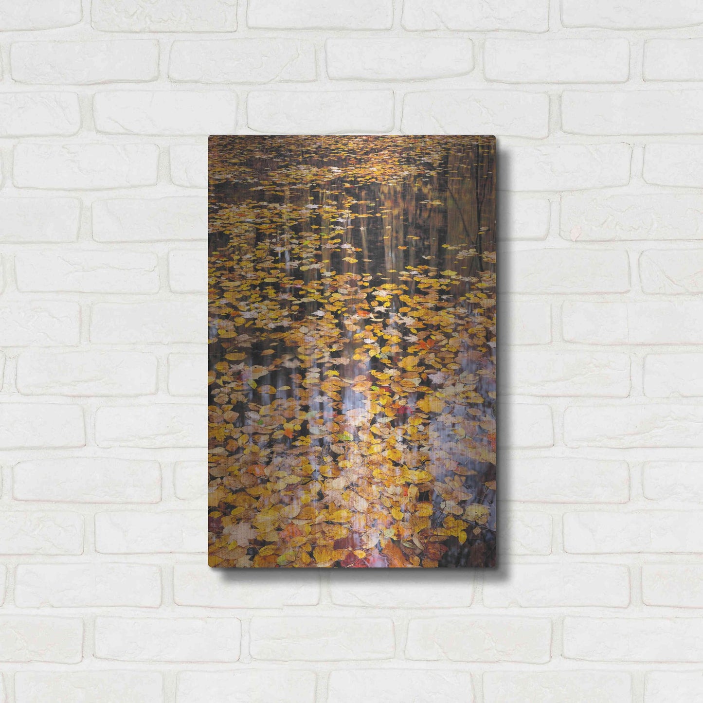 Luxe Metal Art 'Autumn Detail' by John Gavrilis, Metal Wall Art,16x24