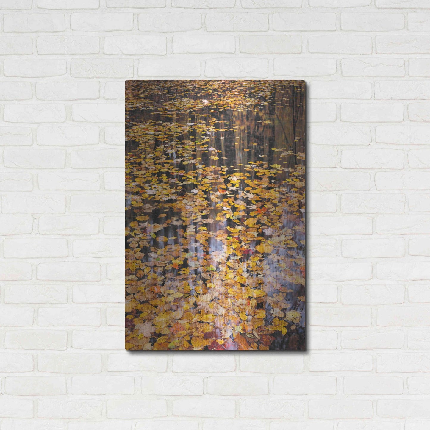 Luxe Metal Art 'Autumn Detail' by John Gavrilis, Metal Wall Art,24x36