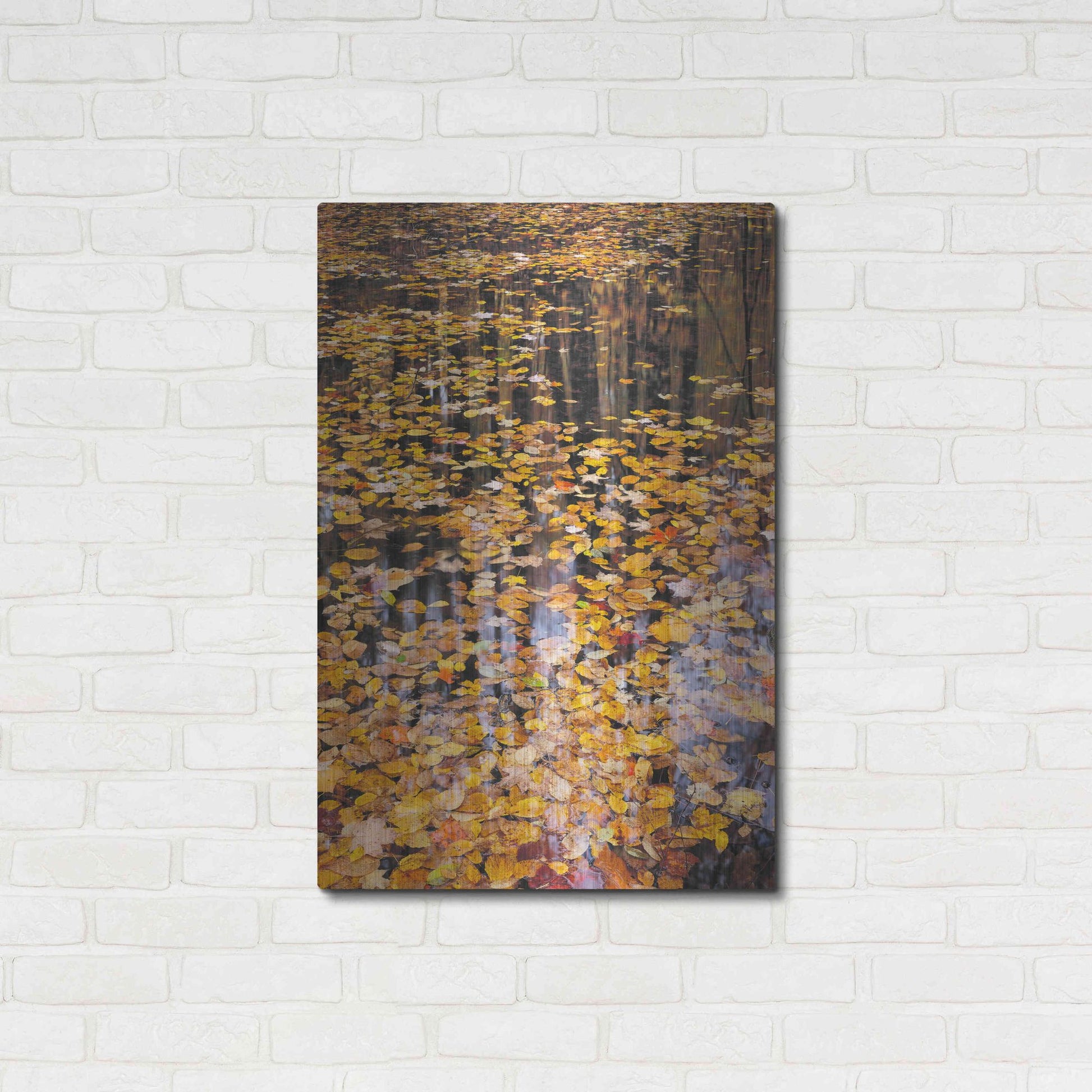 Luxe Metal Art 'Autumn Detail' by John Gavrilis, Metal Wall Art,24x36