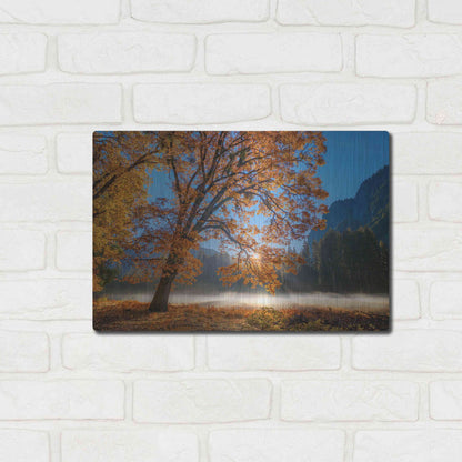 Luxe Metal Art 'Autumn Oak Sunrise & Fog' by John Gavrilis, Metal Wall Art,16x12