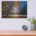 'Autumn Oak Sunrise & Fog' by John Gavrilis – Metal Wall Art, 16x12 room view