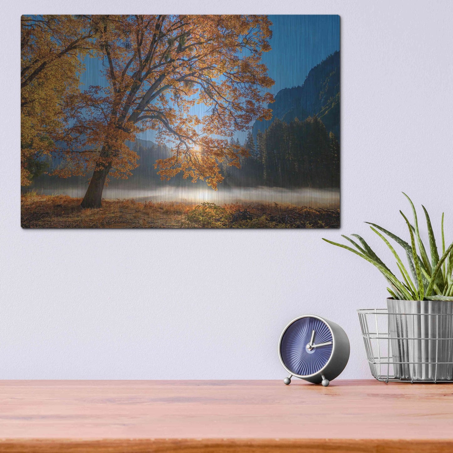 Luxe Metal Art 'Autumn Oak Sunrise & Fog' by John Gavrilis, Metal Wall Art,16x12