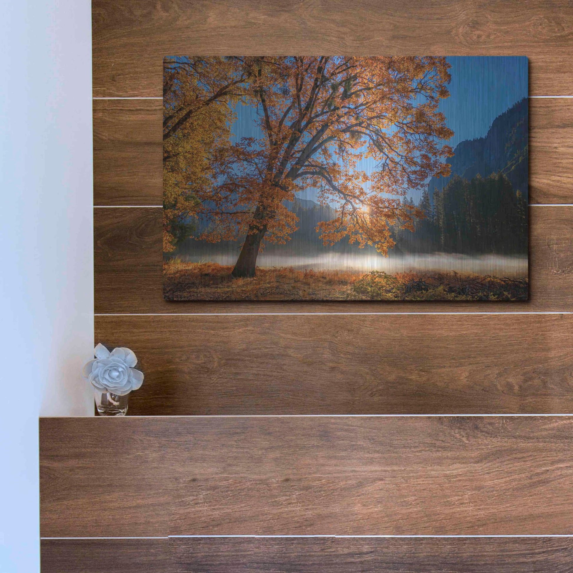 Luxe Metal Art 'Autumn Oak Sunrise & Fog' by John Gavrilis, Metal Wall Art,16x12