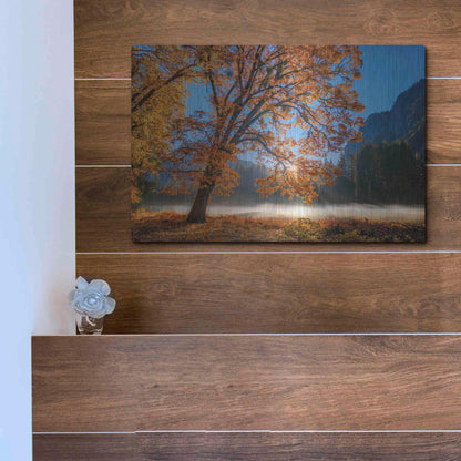 Luxe Metal Art 'Autumn Oak Sunrise & Fog' by John Gavrilis, Metal Wall Art,16x12