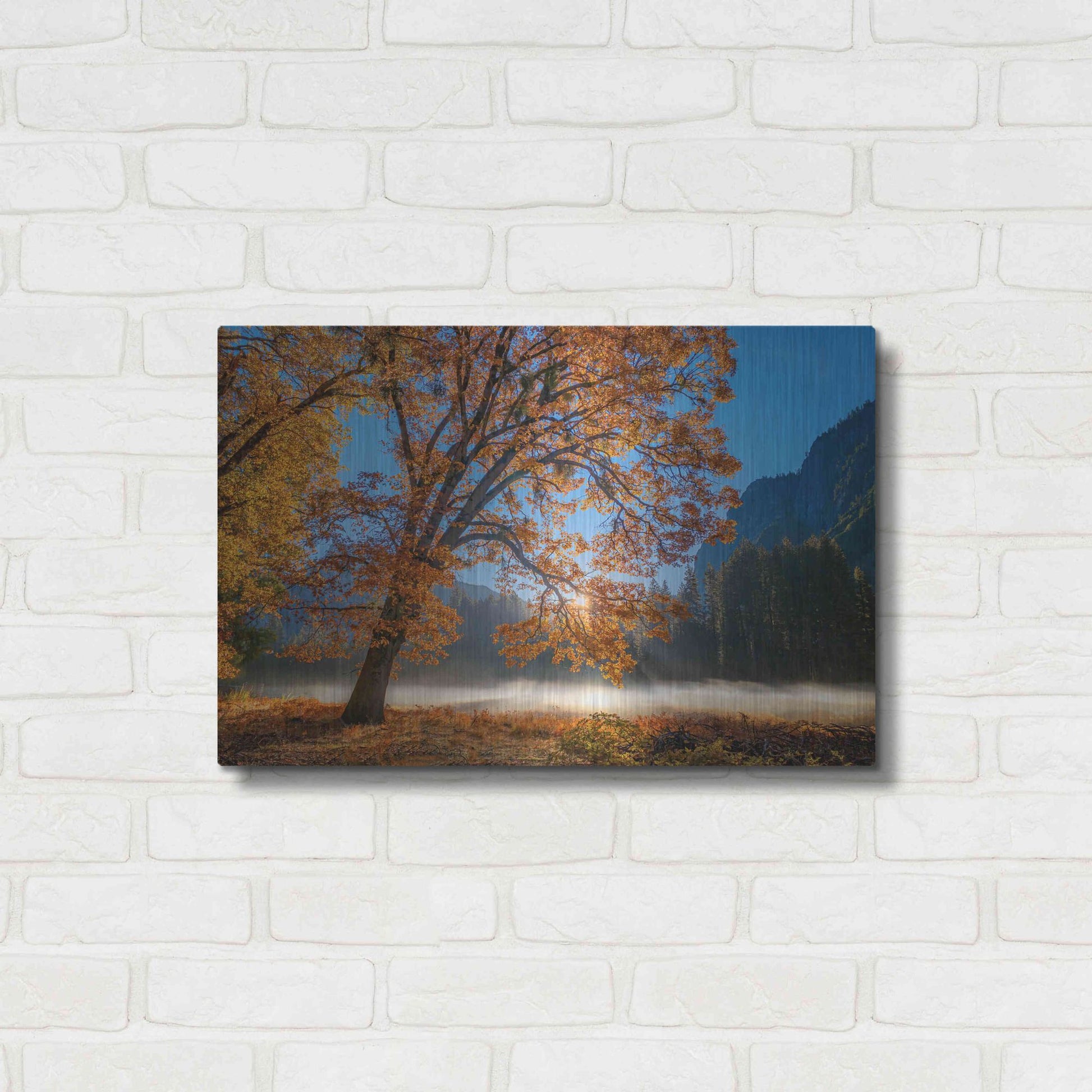 Luxe Metal Art 'Autumn Oak Sunrise & Fog' by John Gavrilis, Metal Wall Art,24x16
