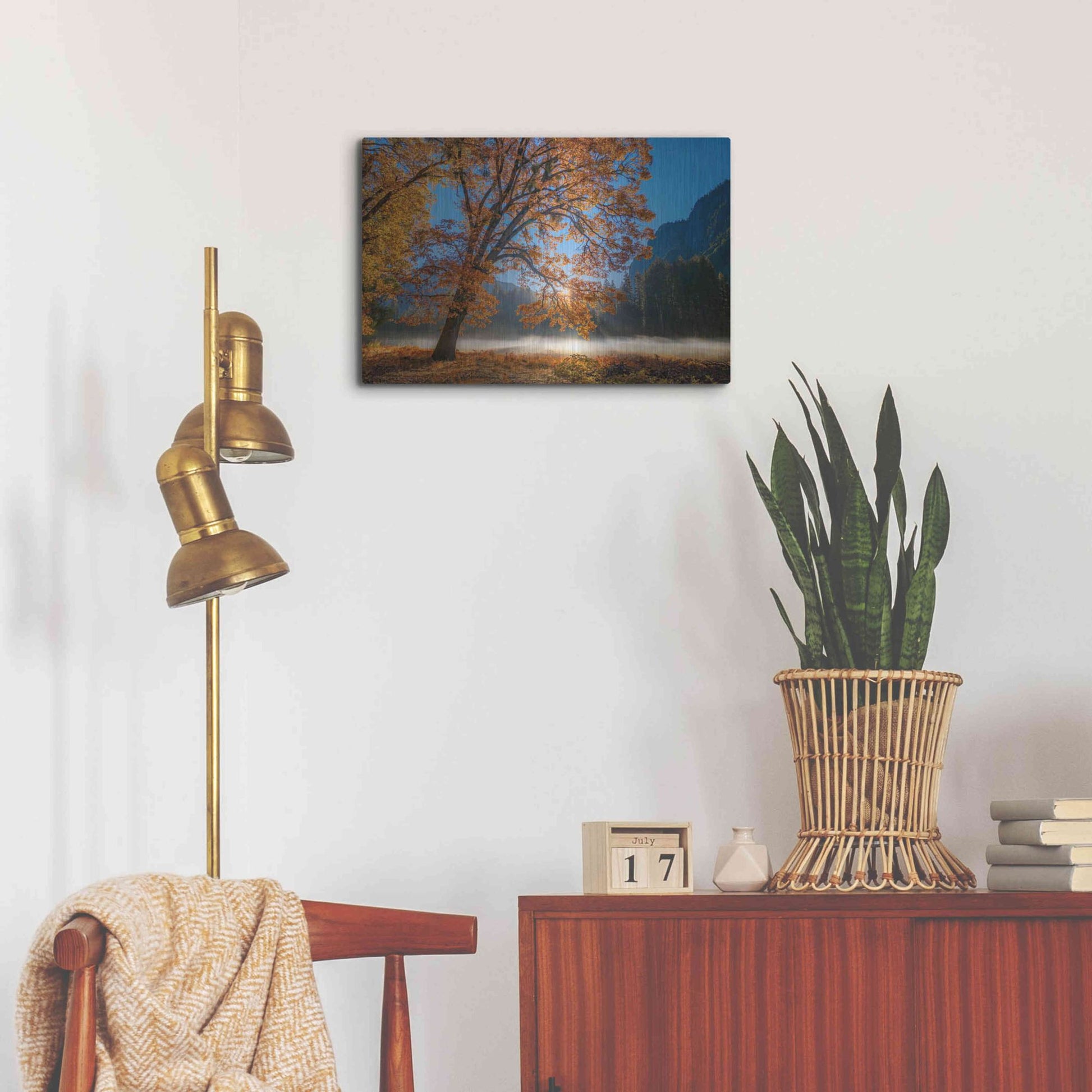Luxe Metal Art 'Autumn Oak Sunrise & Fog' by John Gavrilis, Metal Wall Art,24x16