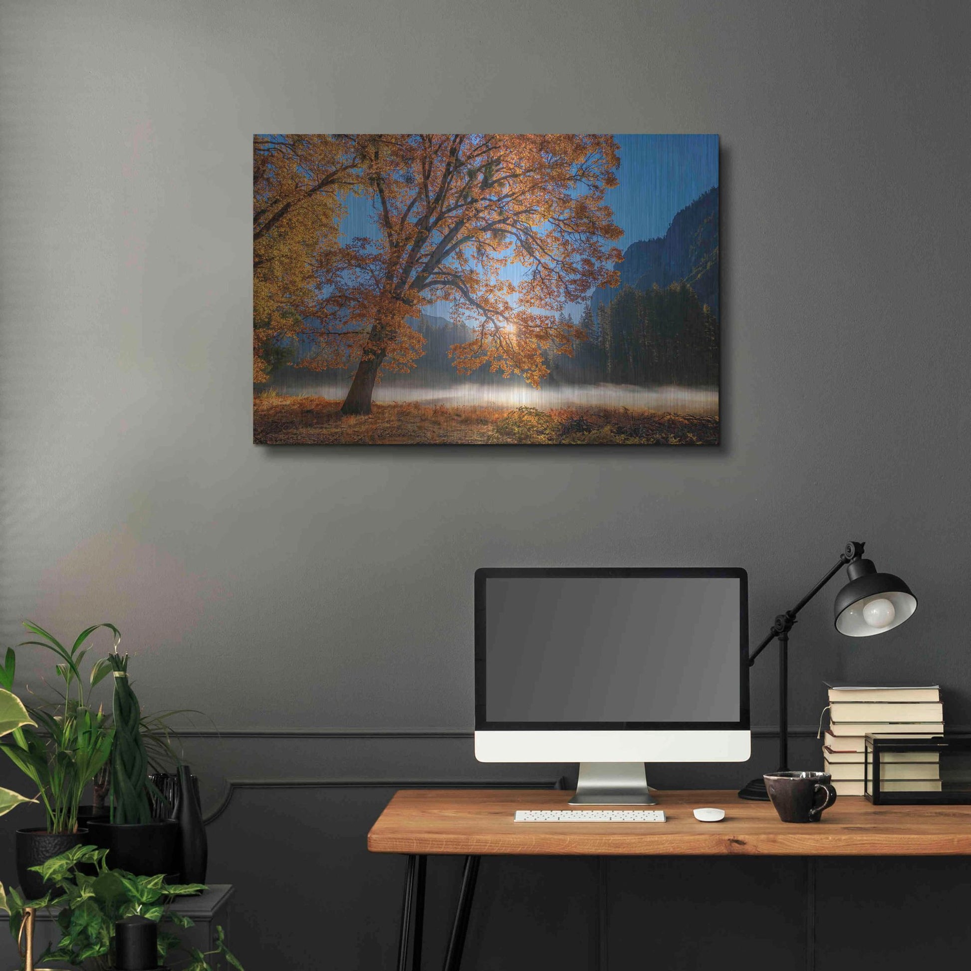 Luxe Metal Art 'Autumn Oak Sunrise & Fog' by John Gavrilis, Metal Wall Art,36x24