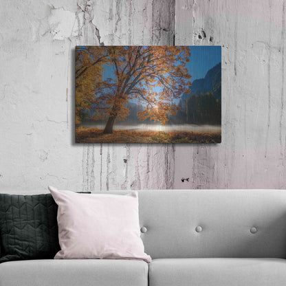 Luxe Metal Art 'Autumn Oak Sunrise & Fog' by John Gavrilis, Metal Wall Art,36x24