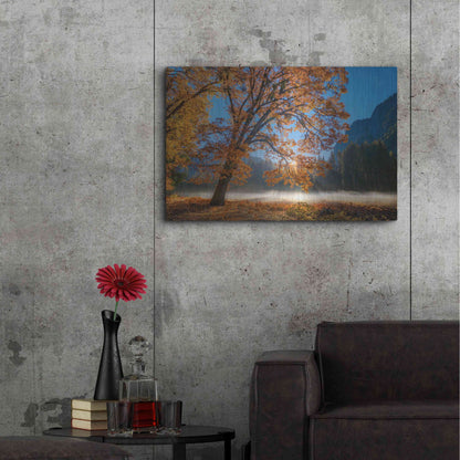 Luxe Metal Art 'Autumn Oak Sunrise & Fog' by John Gavrilis, Metal Wall Art,36x24