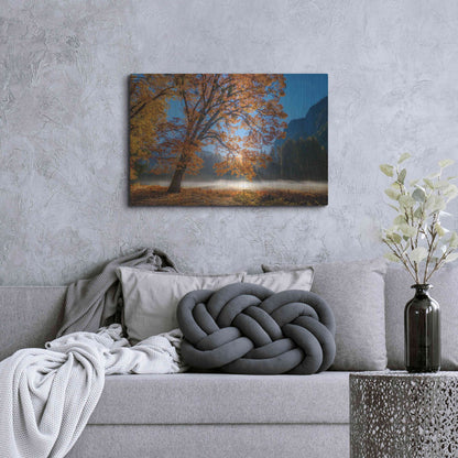 Luxe Metal Art 'Autumn Oak Sunrise & Fog' by John Gavrilis, Metal Wall Art,36x24