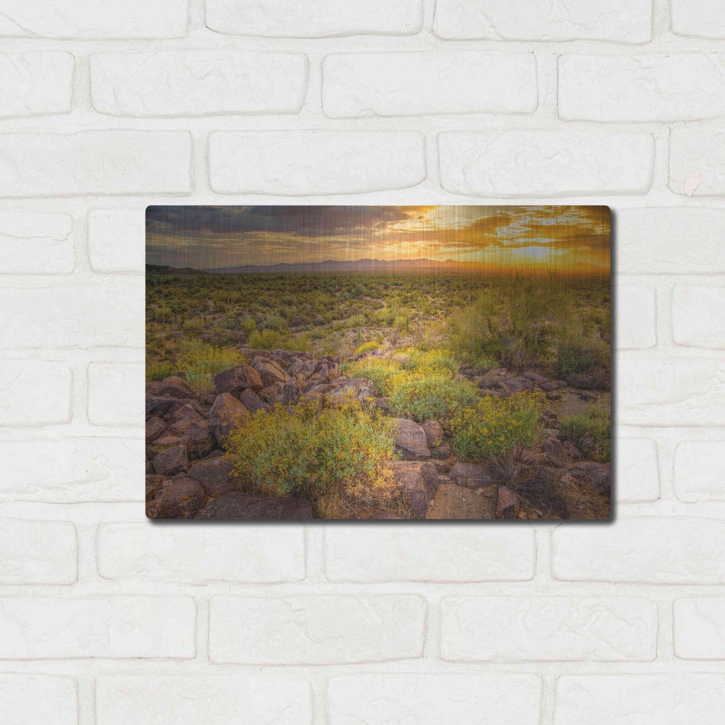 Luxe Metal Art 'Brittlebush Sunset' by John Gavrilis, Metal Wall Art,16x12