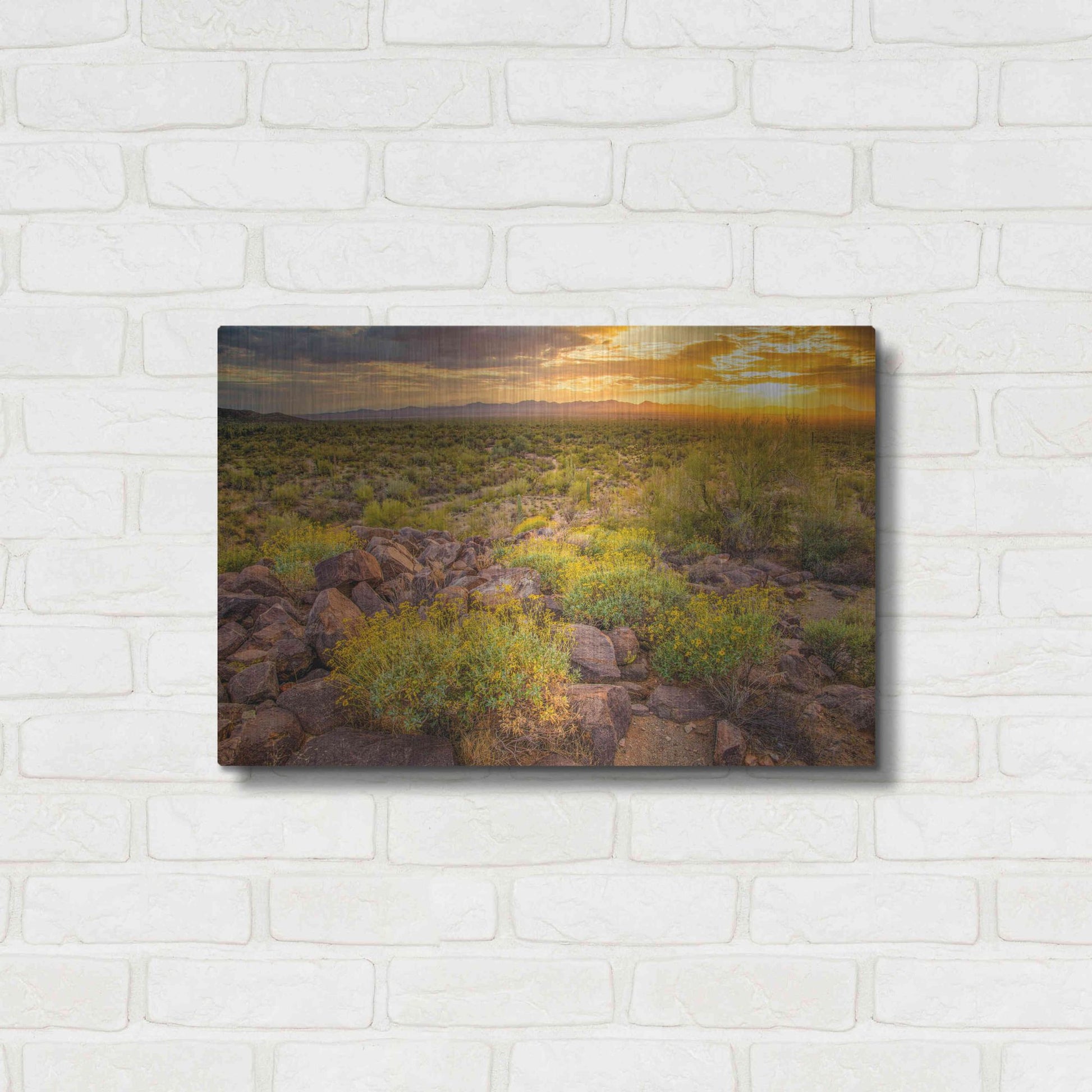 Luxe Metal Art 'Brittlebush Sunset' by John Gavrilis, Metal Wall Art,24x16