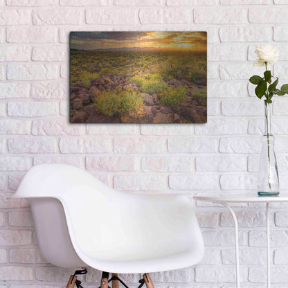 Luxe Metal Art 'Brittlebush Sunset' by John Gavrilis, Metal Wall Art,24x16