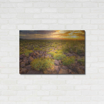 Luxe Metal Art 'Brittlebush Sunset' by John Gavrilis, Metal Wall Art,36x24