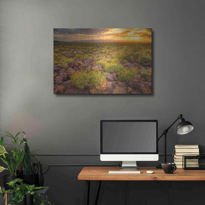 Luxe Metal Art 'Brittlebush Sunset' by John Gavrilis, Metal Wall Art,36x24