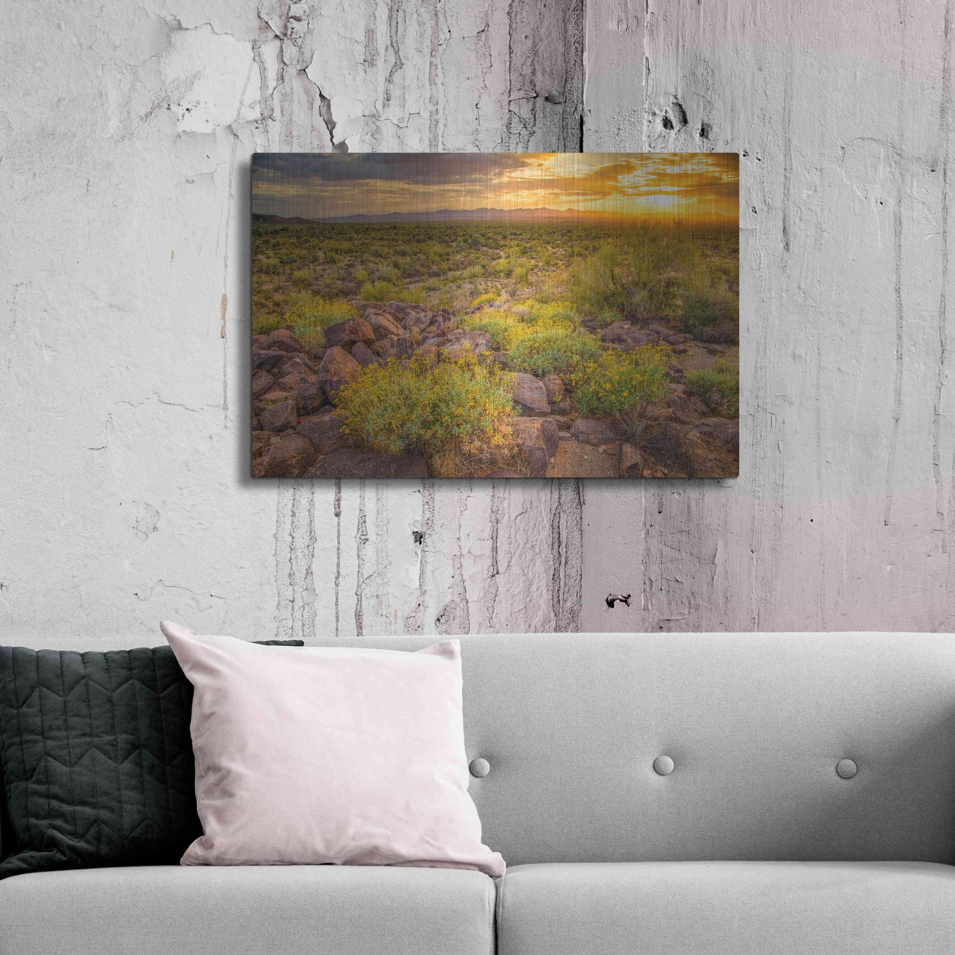 Luxe Metal Art 'Brittlebush Sunset' by John Gavrilis, Metal Wall Art,36x24