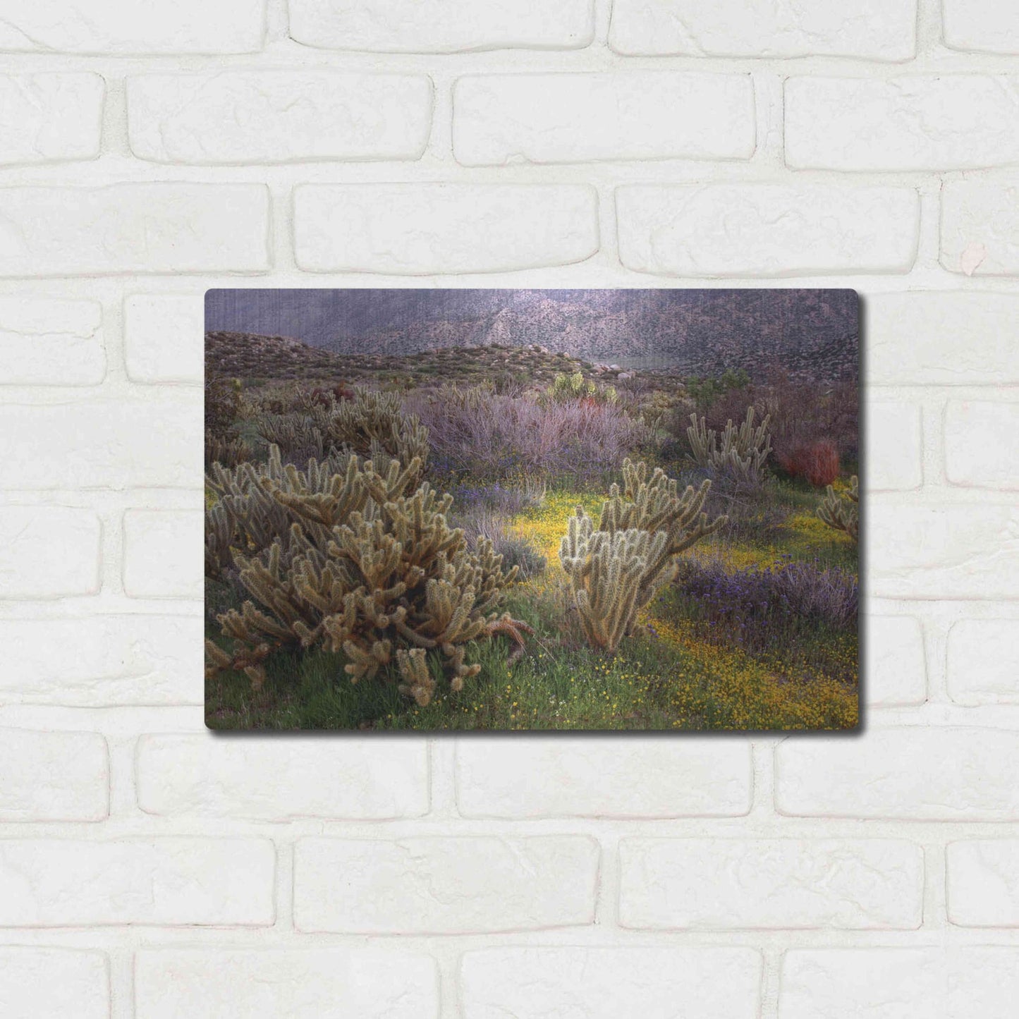 Luxe Metal Art 'Desert Cactus and Wildflowers' by John Gavrilis, Metal Wall Art,16x12