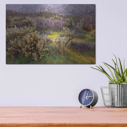 Luxe Metal Art 'Desert Cactus and Wildflowers' by John Gavrilis, Metal Wall Art,16x12