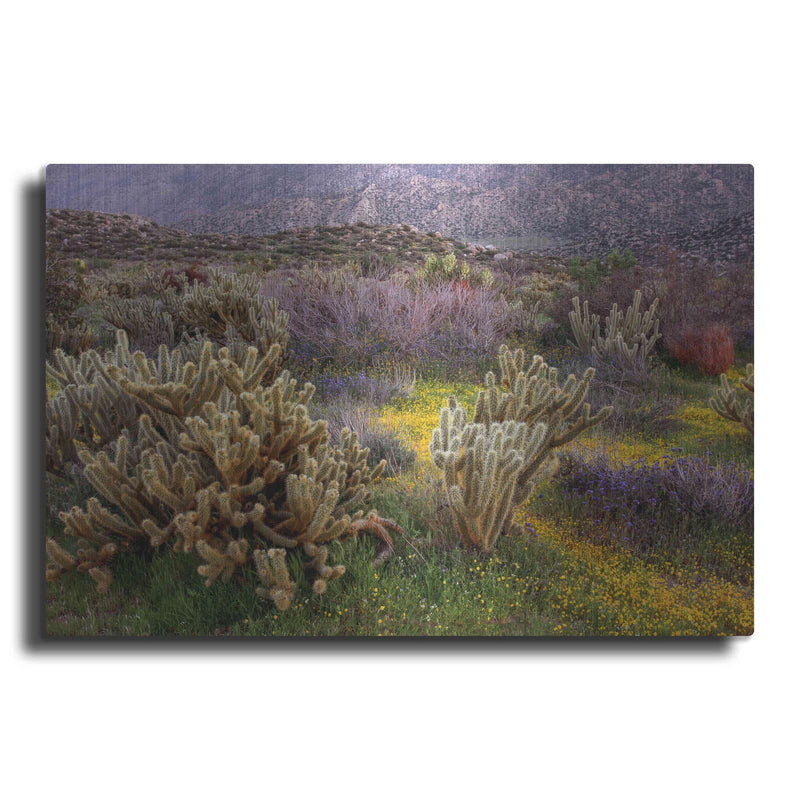 'Desert Cactus and Wildflowers' by John Gavrilis – Metal Wall Art