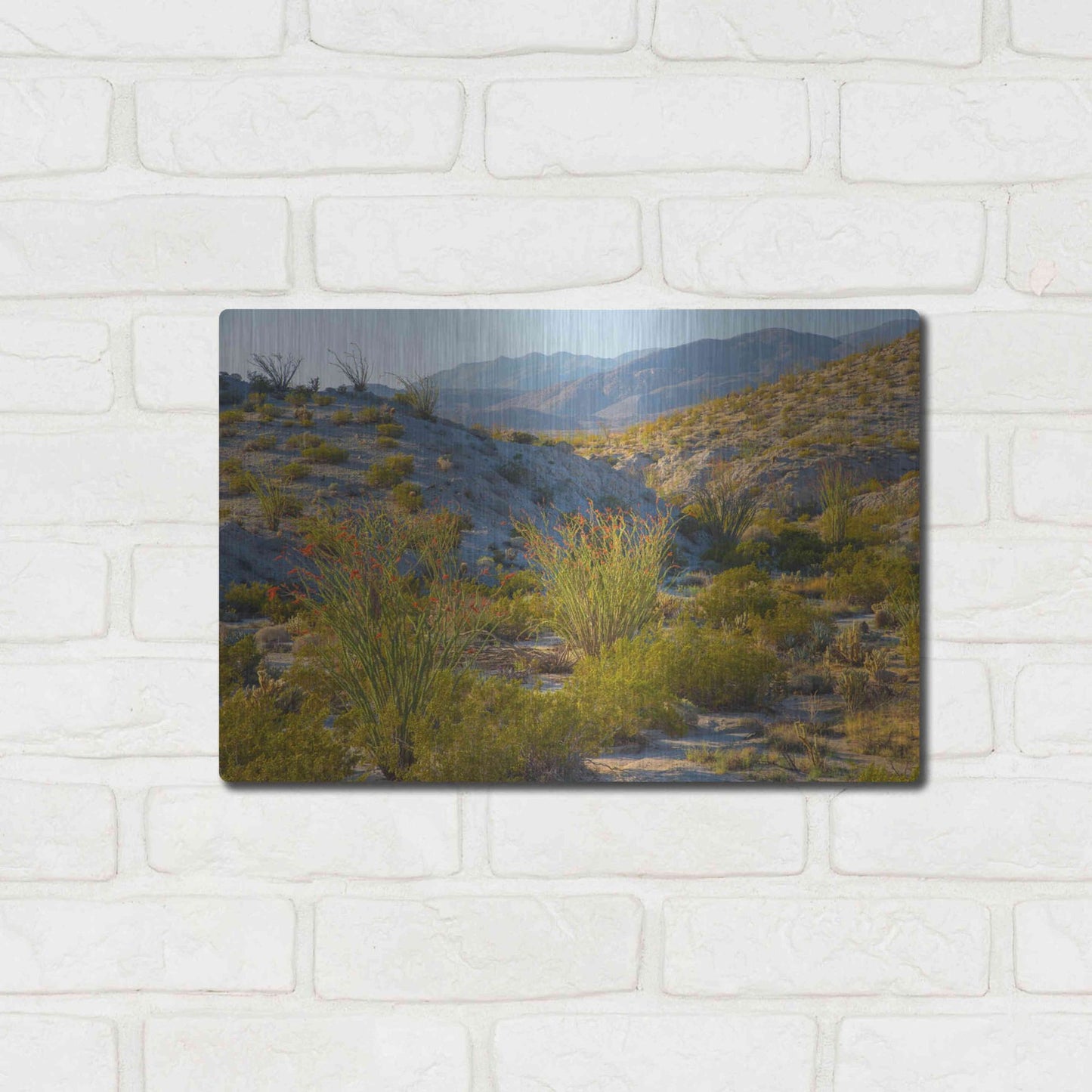 Luxe Metal Art 'Desert Ocotillo Landscape' by John Gavrilis, Metal Wall Art,16x12