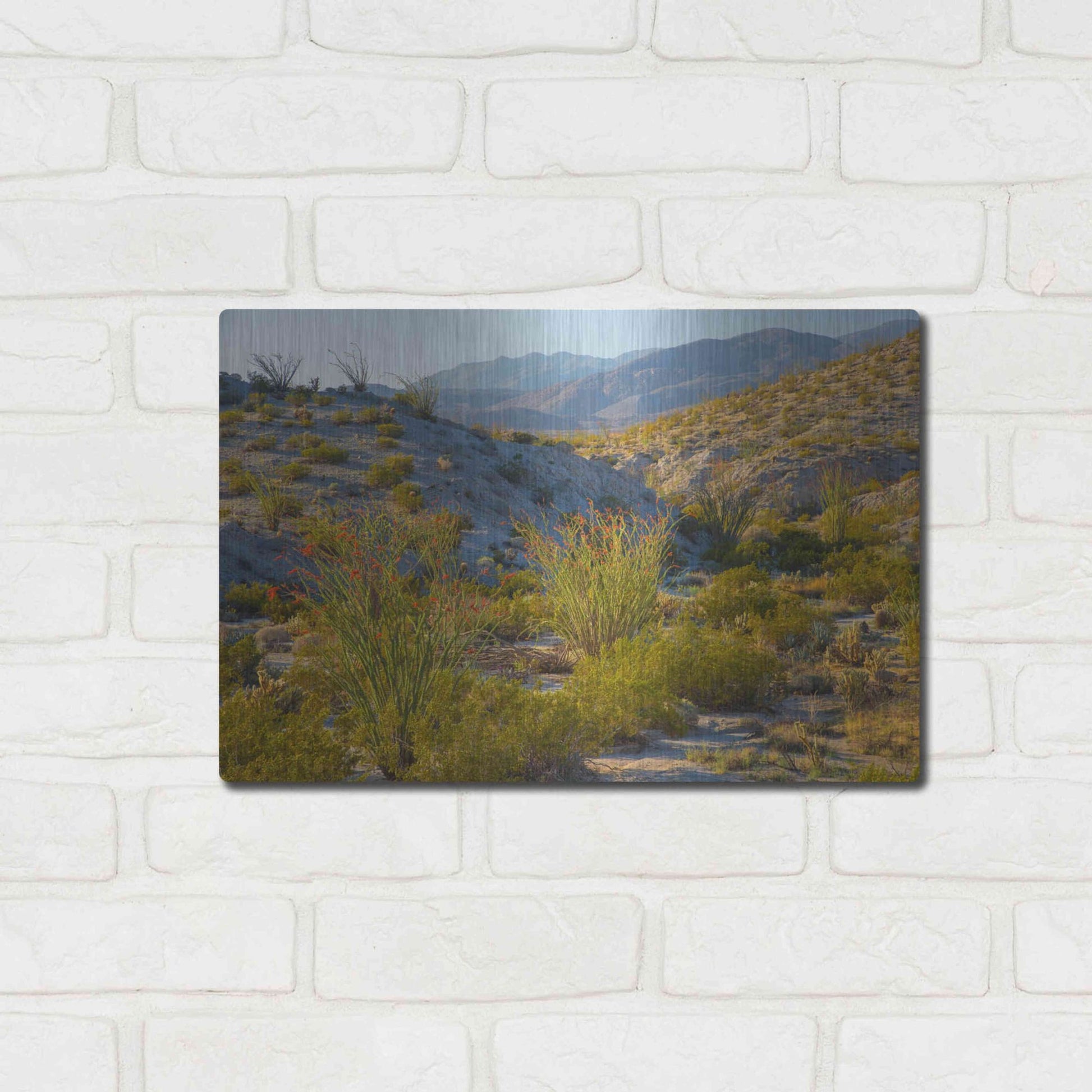 Luxe Metal Art 'Desert Ocotillo Landscape' by John Gavrilis, Metal Wall Art,16x12