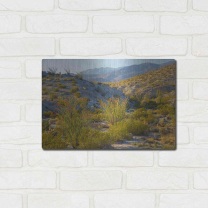 Luxe Metal Art 'Desert Ocotillo Landscape' by John Gavrilis, Metal Wall Art,16x12