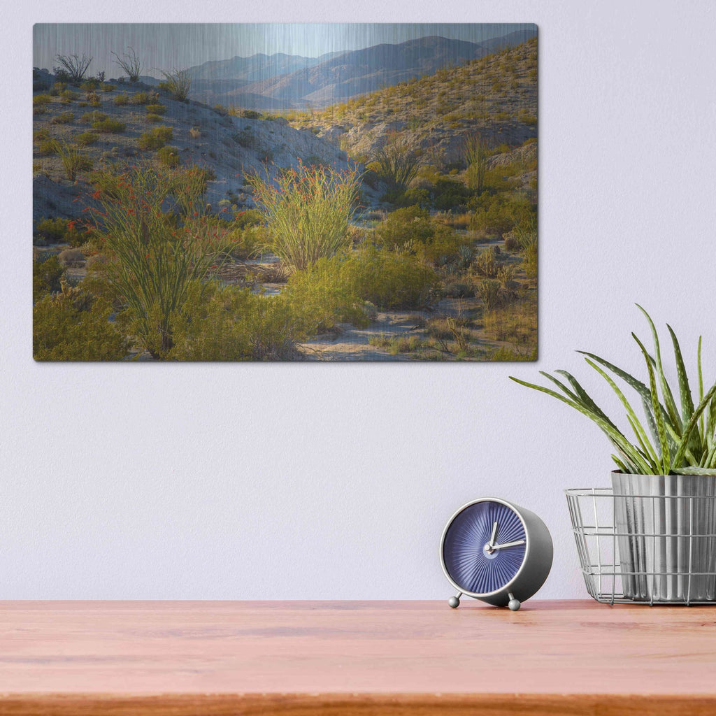 Luxe Metal Art 'Desert Ocotillo Landscape' by John Gavrilis, Metal Wall Art,16x12