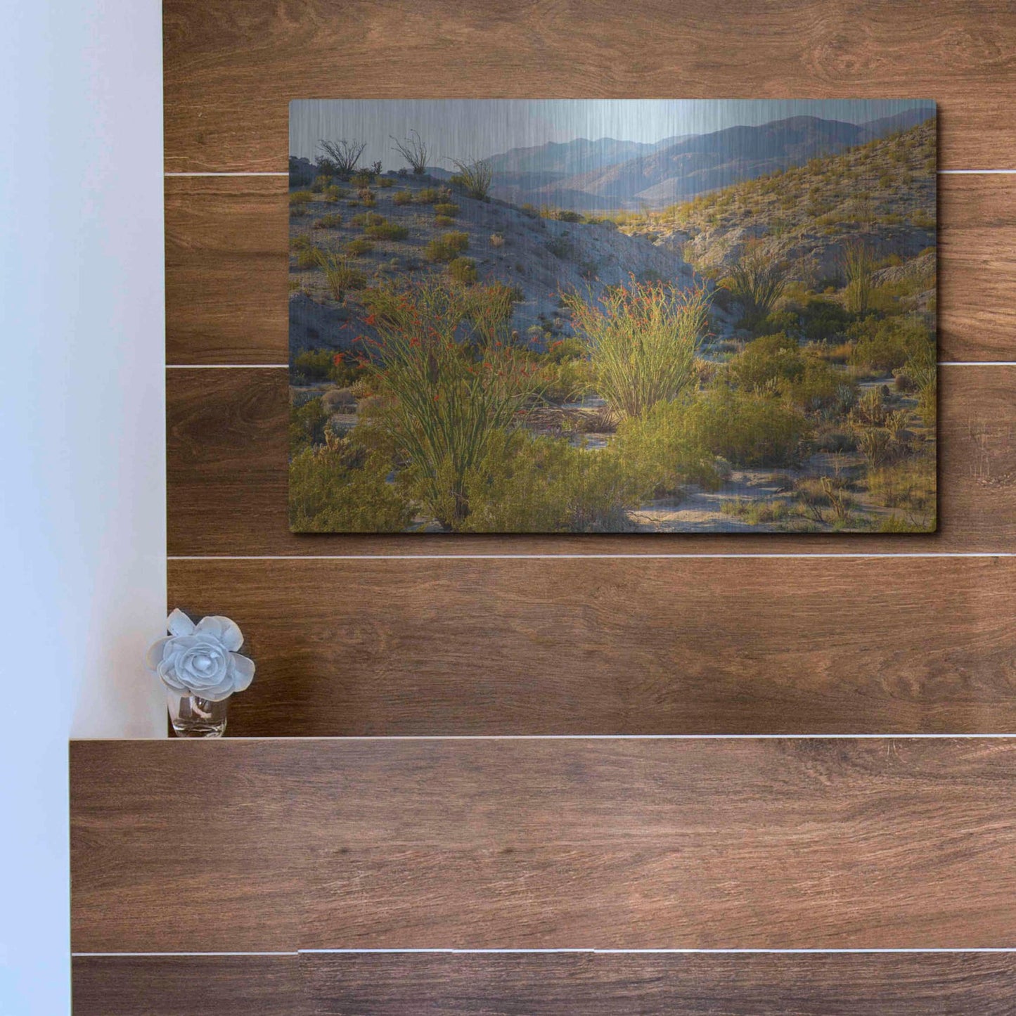 Luxe Metal Art 'Desert Ocotillo Landscape' by John Gavrilis, Metal Wall Art,16x12