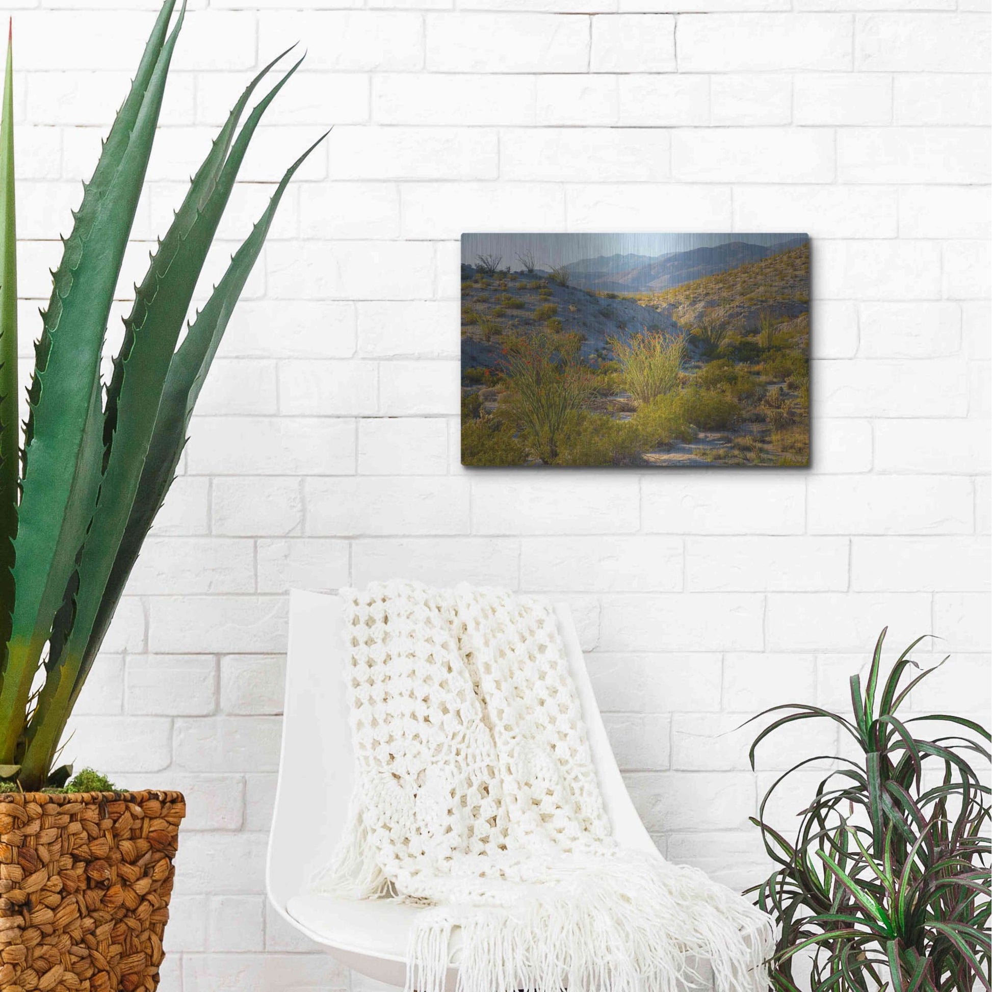 Luxe Metal Art 'Desert Ocotillo Landscape' by John Gavrilis, Metal Wall Art,16x12