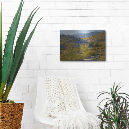 Luxe Metal Art 'Desert Ocotillo Landscape' by John Gavrilis, Metal Wall Art,16x12