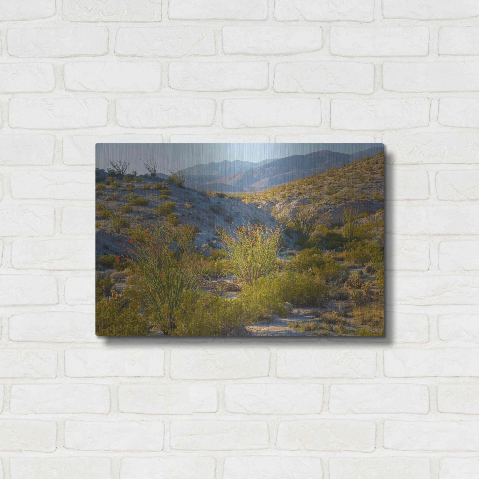 Luxe Metal Art 'Desert Ocotillo Landscape' by John Gavrilis, Metal Wall Art,24x16