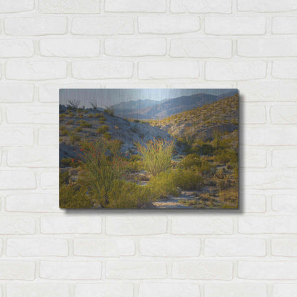 Luxe Metal Art 'Desert Ocotillo Landscape' by John Gavrilis, Metal Wall Art,24x16