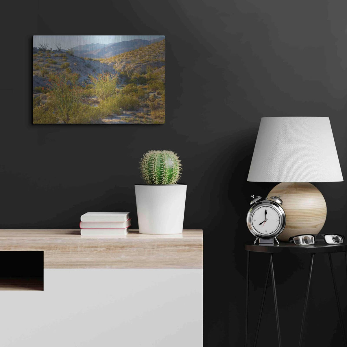 'Desert Ocotillo Landscape' by John Gavrilis – Metal Wall Art, 24x16 room view