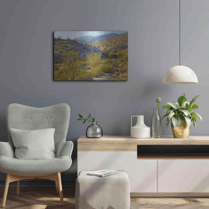 Luxe Metal Art 'Desert Ocotillo Landscape' by John Gavrilis, Metal Wall Art,24x16