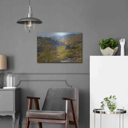 Luxe Metal Art 'Desert Ocotillo Landscape' by John Gavrilis, Metal Wall Art,24x16