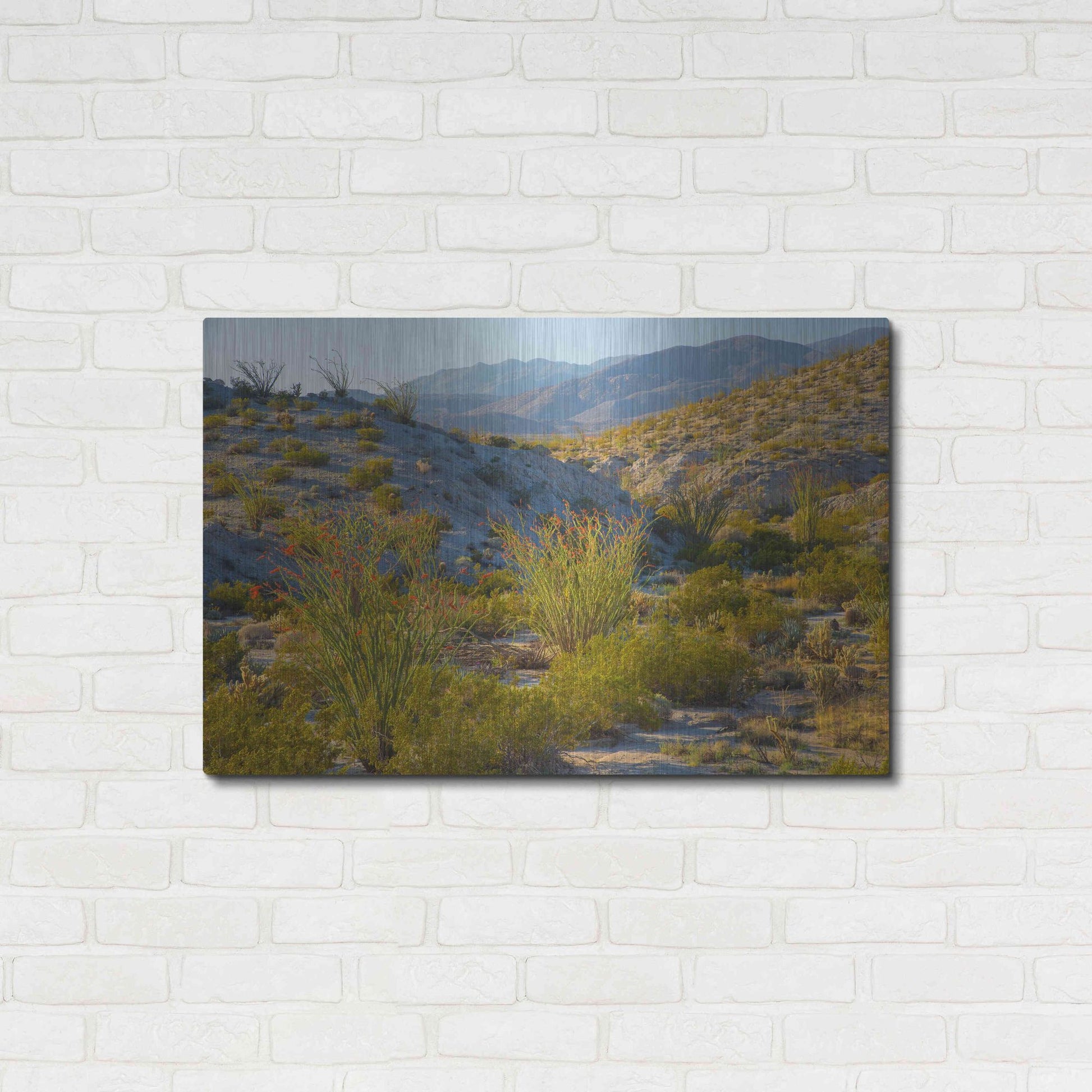 Luxe Metal Art 'Desert Ocotillo Landscape' by John Gavrilis, Metal Wall Art,36x24