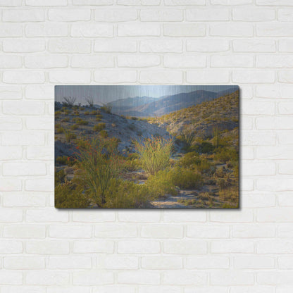 Luxe Metal Art 'Desert Ocotillo Landscape' by John Gavrilis, Metal Wall Art,36x24