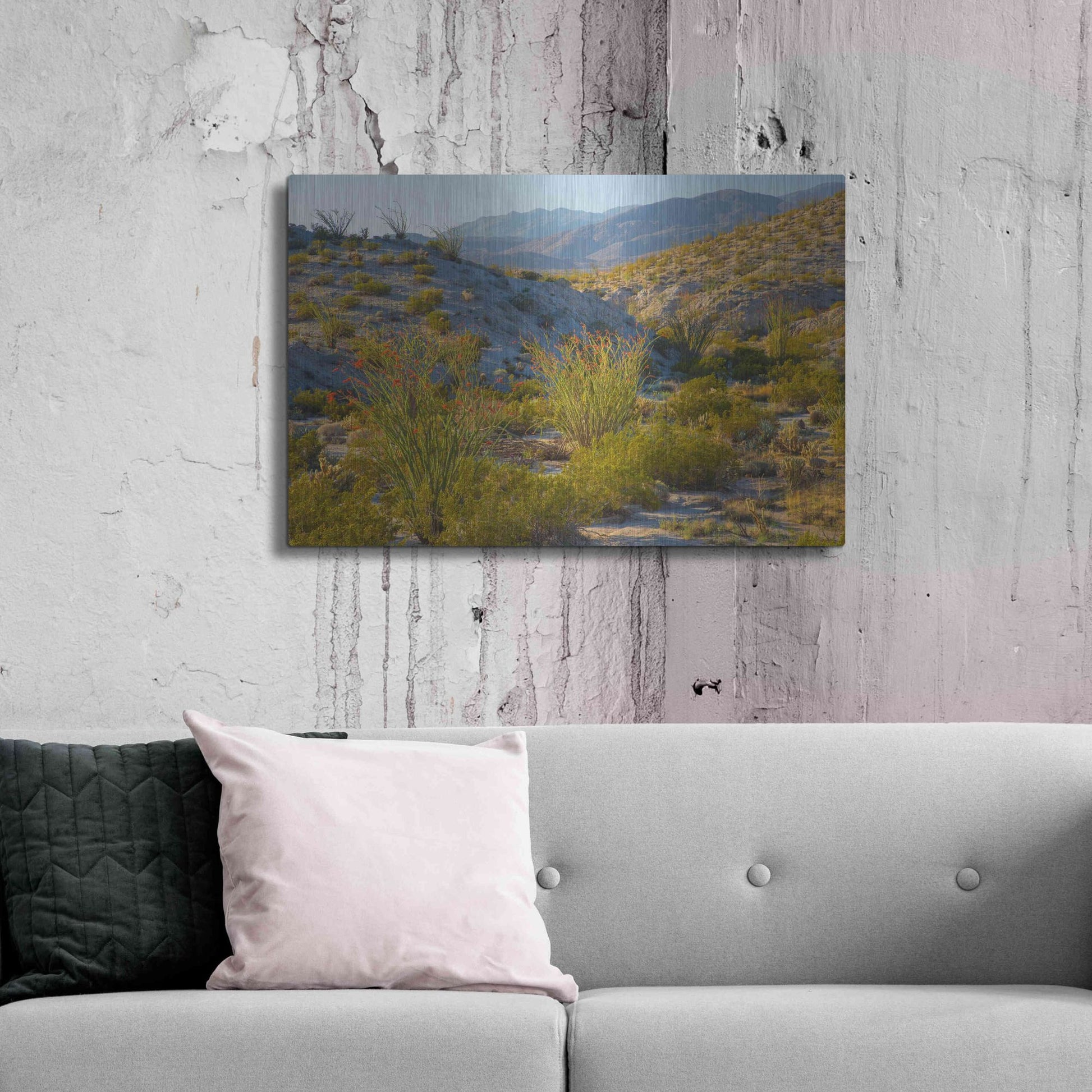 Luxe Metal Art 'Desert Ocotillo Landscape' by John Gavrilis, Metal Wall Art,36x24