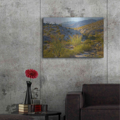 Luxe Metal Art 'Desert Ocotillo Landscape' by John Gavrilis, Metal Wall Art,36x24