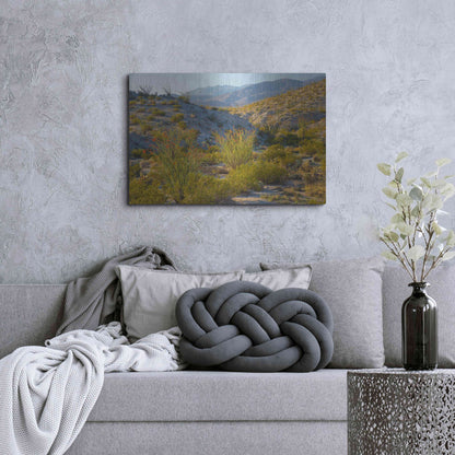 Luxe Metal Art 'Desert Ocotillo Landscape' by John Gavrilis, Metal Wall Art,36x24