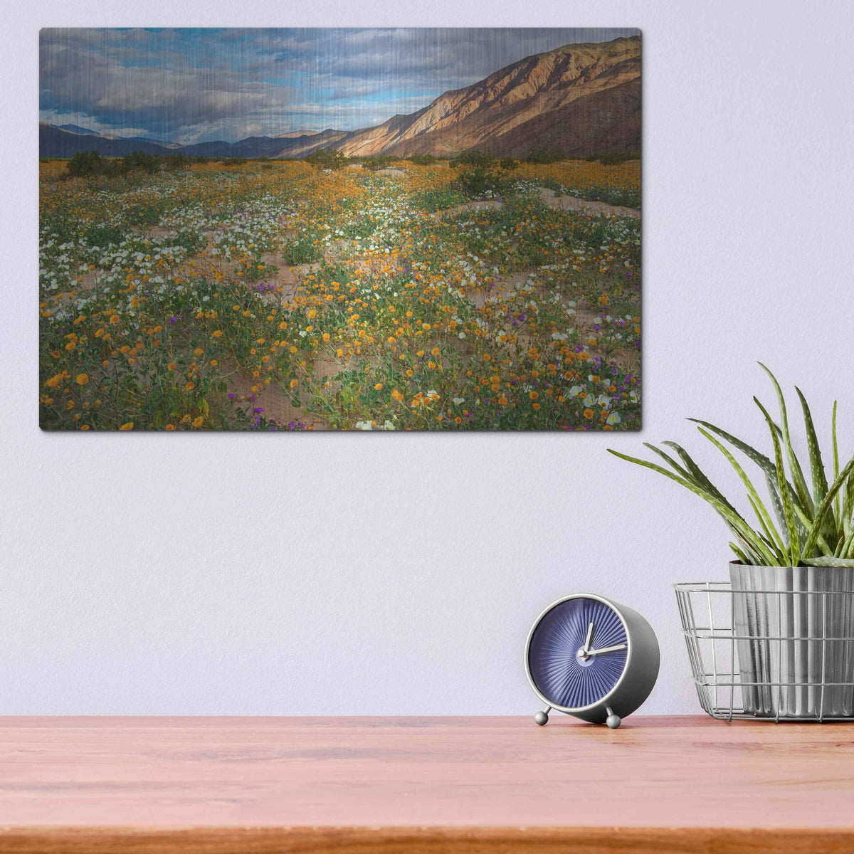 Luxe Metal Art 'Desert Wildflowers in Henderson Canyon' by John Gavrilis, Metal Wall Art,16x12