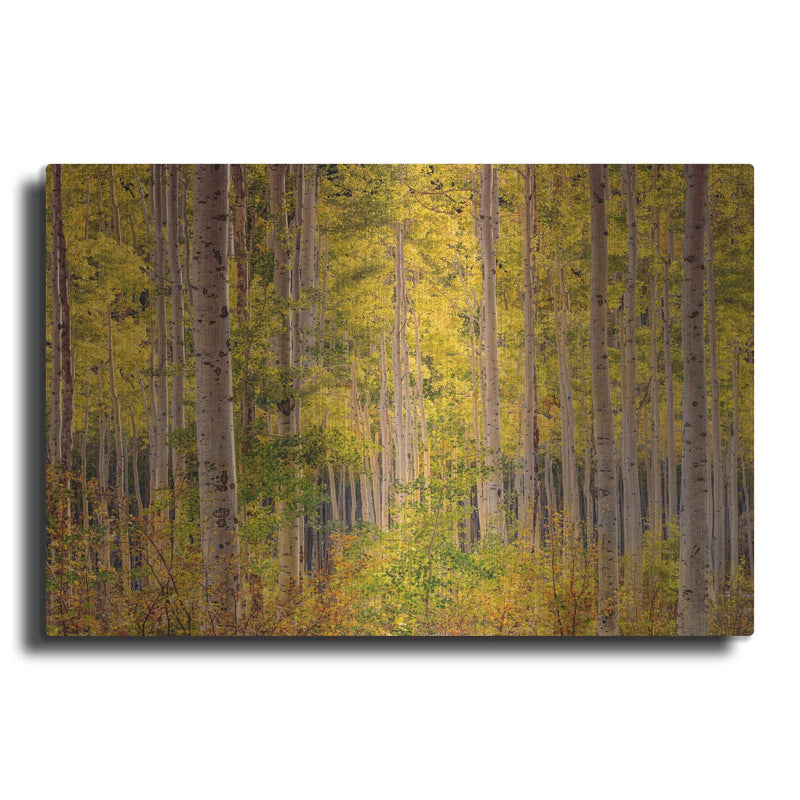 'Independence Pass' by John Gavrilis – Metal Wall Art