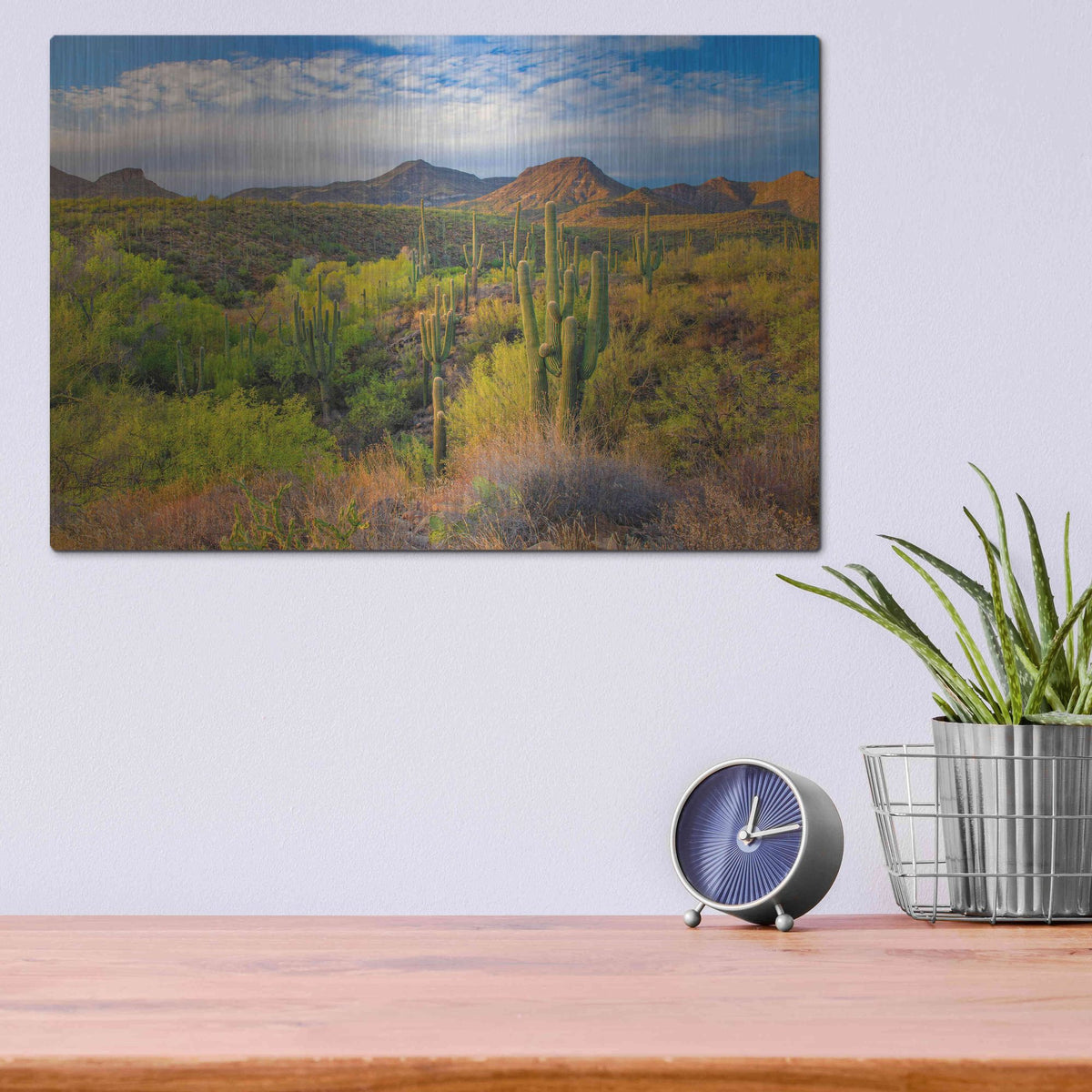 Luxe Metal Art 'Jewel Evening' by John Gavrilis, Metal Wall Art,16x12