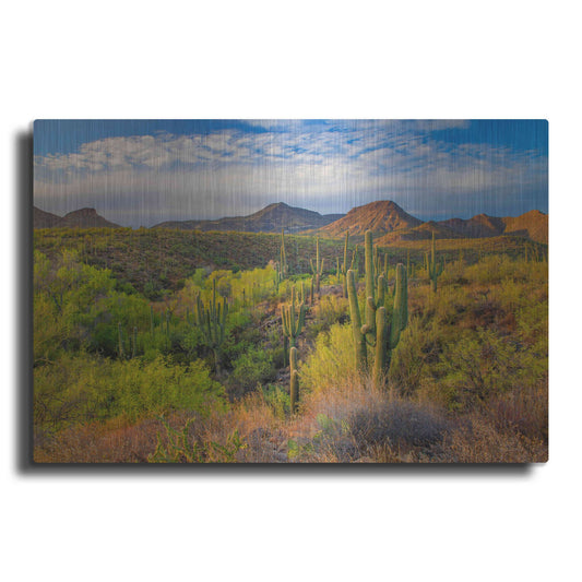 'Jewel Evening' by John Gavrilis, Metal Wall Art
