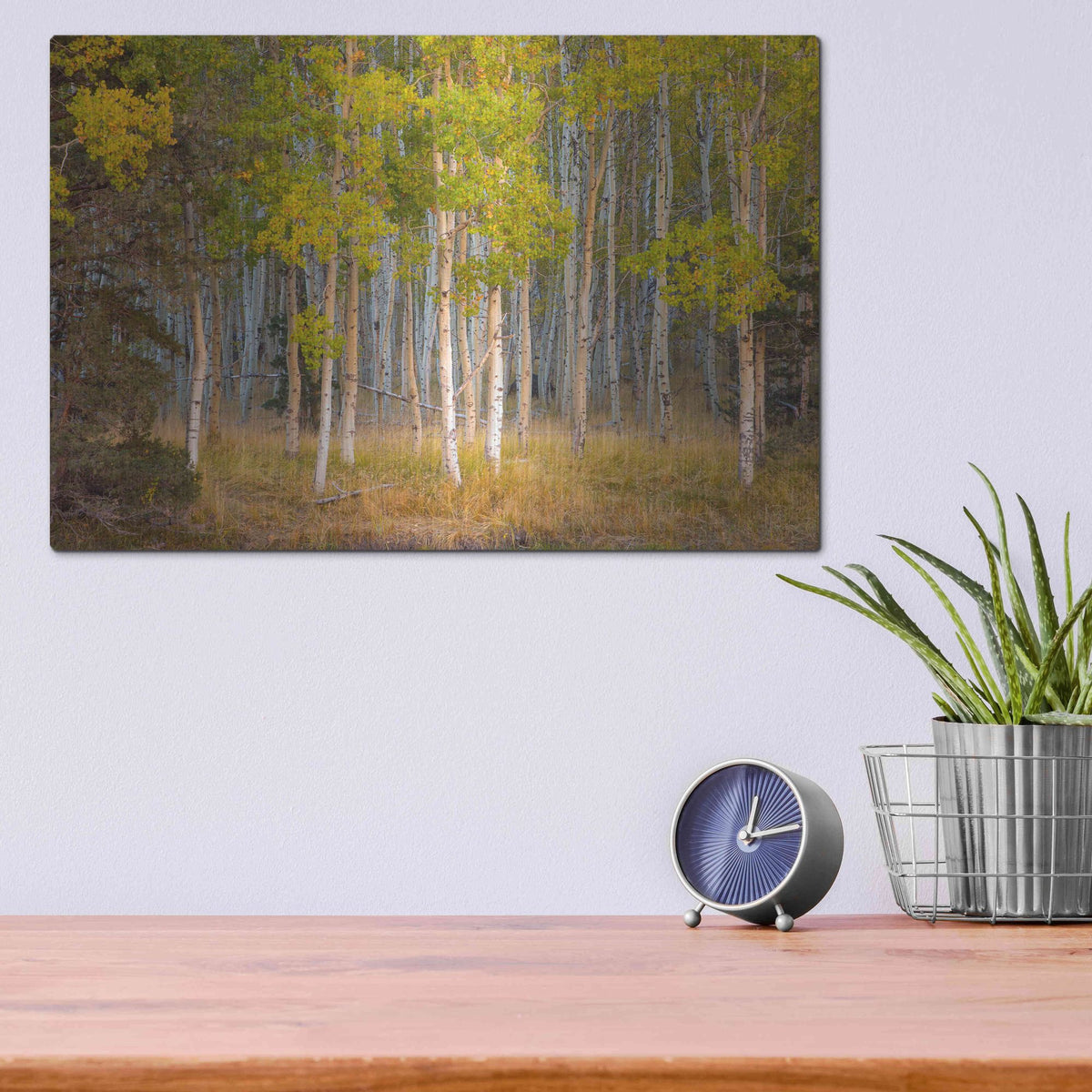 Luxe Metal Art 'June Lake Aspen' by John Gavrilis, Metal Wall Art,16x12
