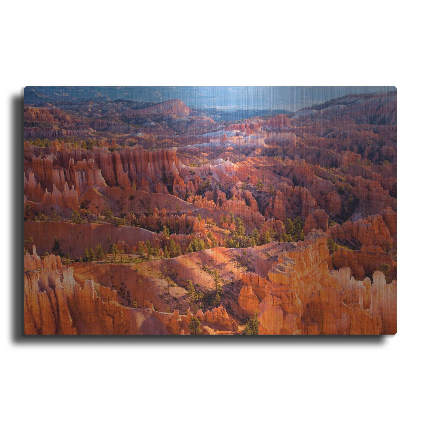 'Morning Light' by John Gavrilis, Metal Wall Art