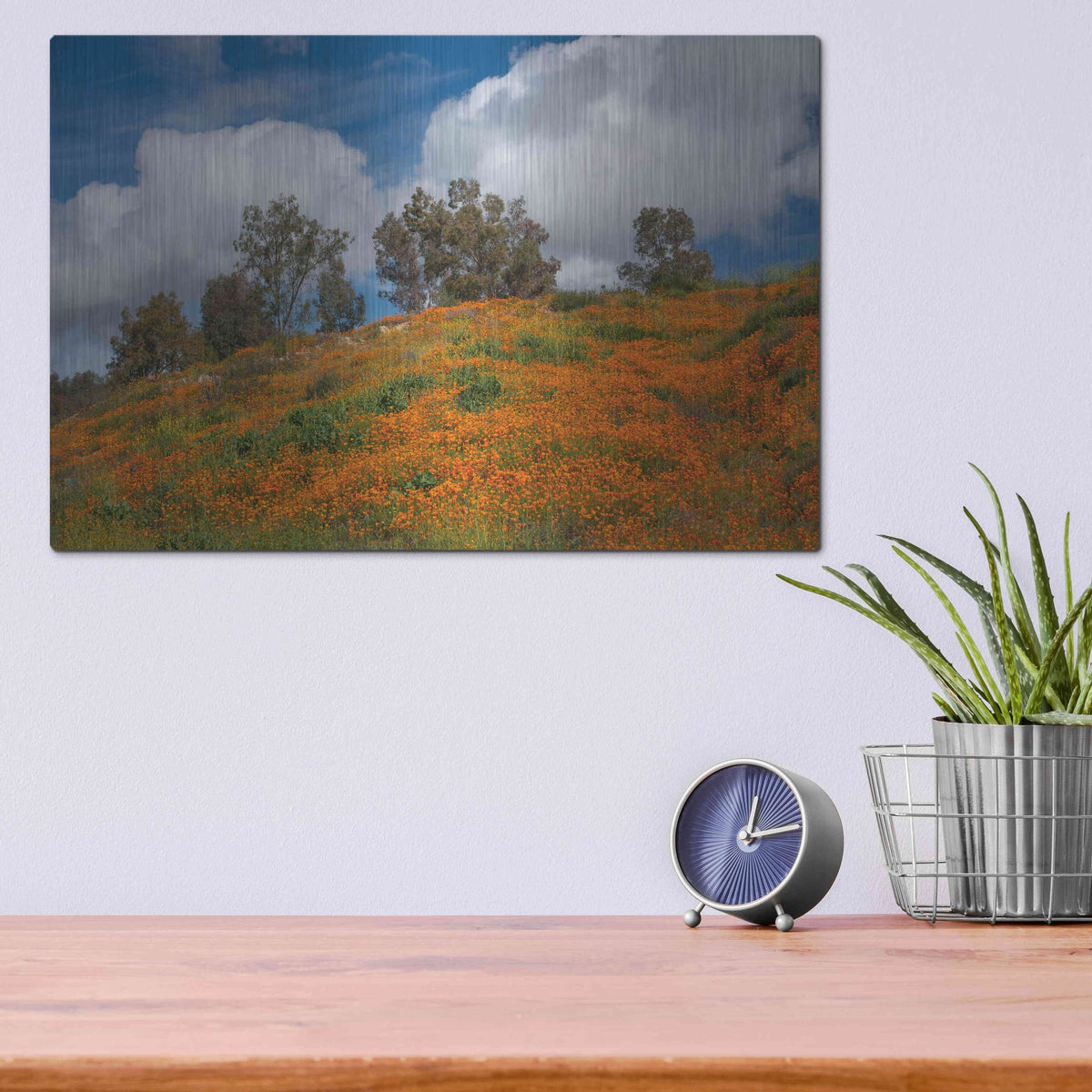 Luxe Metal Art 'Poppies, Trees & Clouds' by John Gavrilis, Metal Wall Art,16x12